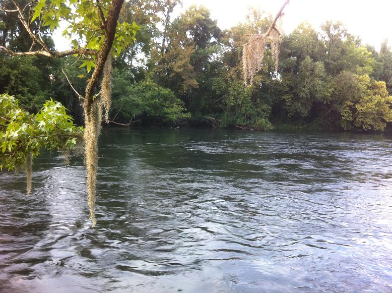 River and Creek Property for Sale in Columbia SC